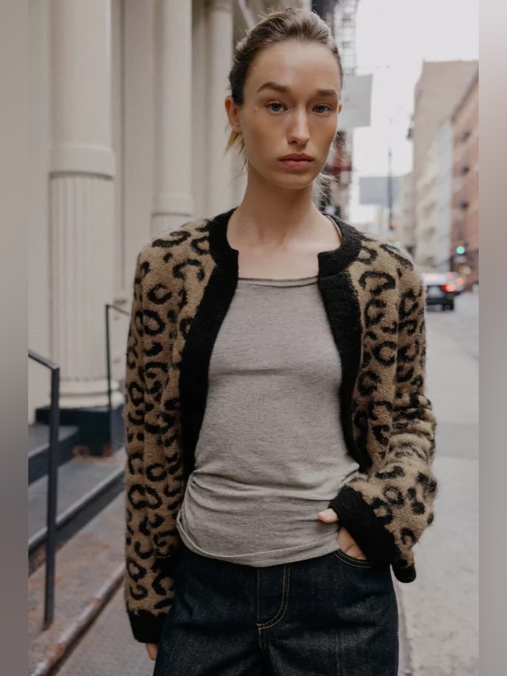 NWT Zara ANIMAL JACQUARD KNIT CARDIGAN